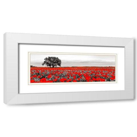 Tree in a poppy field White Modern Wood Framed Art Print with Double Matting by Anonymous