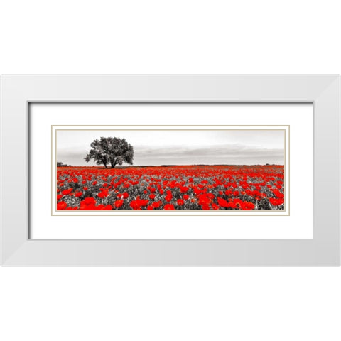 Tree in a poppy field White Modern Wood Framed Art Print with Double Matting by Anonymous