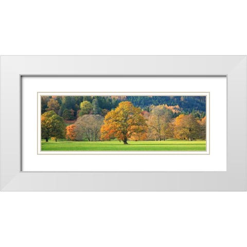 Mixed trees in autumn colour Scotland White Modern Wood Framed Art Print with Double Matting by Anonymous