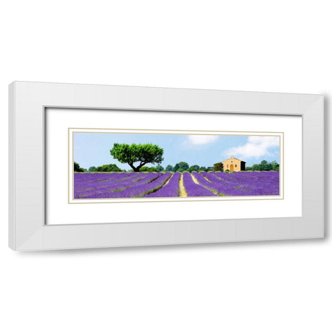 Lavender Fields, France White Modern Wood Framed Art Print with Double Matting by Pangea Images