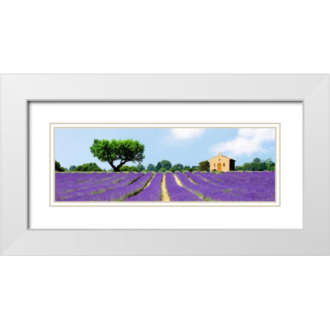 Lavender Fields, France White Modern Wood Framed Art Print with Double Matting by Pangea Images