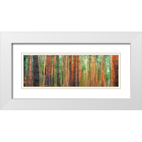 Colors of the Woods White Modern Wood Framed Art Print with Double Matting by Pangea Images