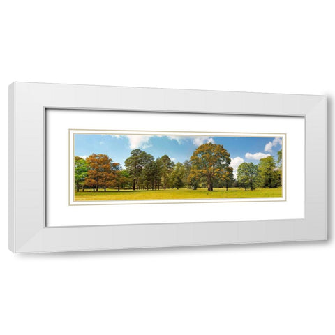 Trees in a Park White Modern Wood Framed Art Print with Double Matting by Pangea Images