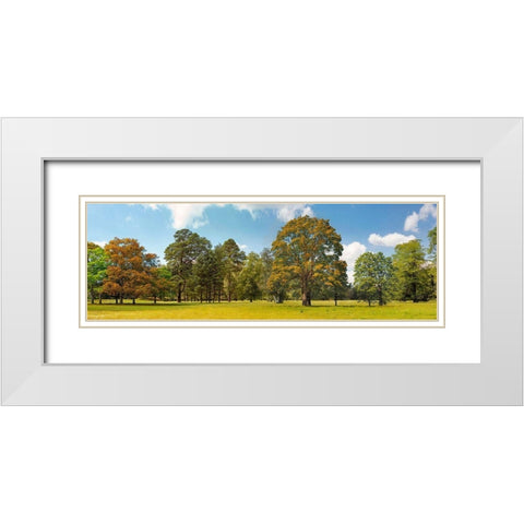 Trees in a Park White Modern Wood Framed Art Print with Double Matting by Pangea Images