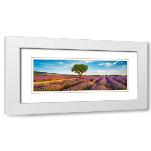 Lavender field and almond tree, Provence, France White Modern Wood Framed Art Print with Double Matting by Krahmer, Frank