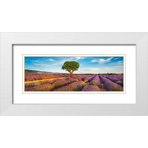 Lavender field and almond tree, Provence, France White Modern Wood Framed Art Print with Double Matting by Krahmer, Frank