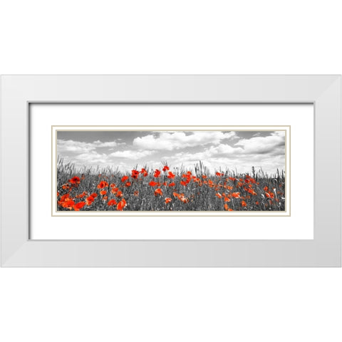 Poppies in corn field, Bavaria, Germany White Modern Wood Framed Art Print with Double Matting by Krahmer, Frank