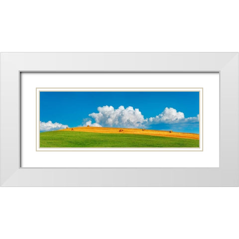 Corn field harvested, Tuscany, Italy White Modern Wood Framed Art Print with Double Matting by Krahmer, Frank