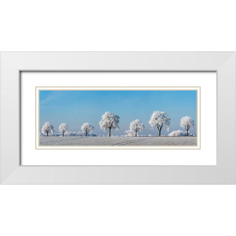Alley tree with frost, Bavaria, Germany White Modern Wood Framed Art Print with Double Matting by Krahmer, Frank