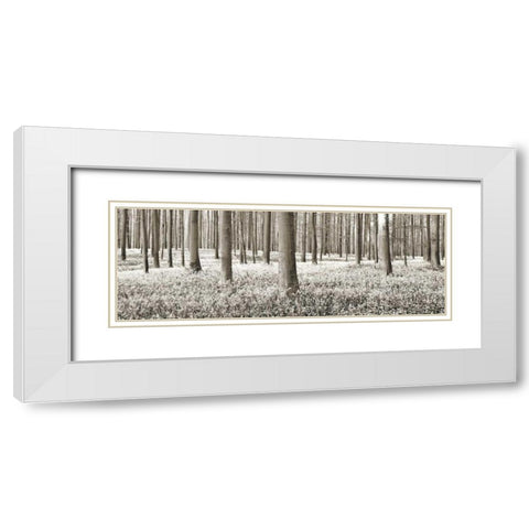 Beech forest with bluebells, Belgium White Modern Wood Framed Art Print with Double Matting by Krahmer, Frank