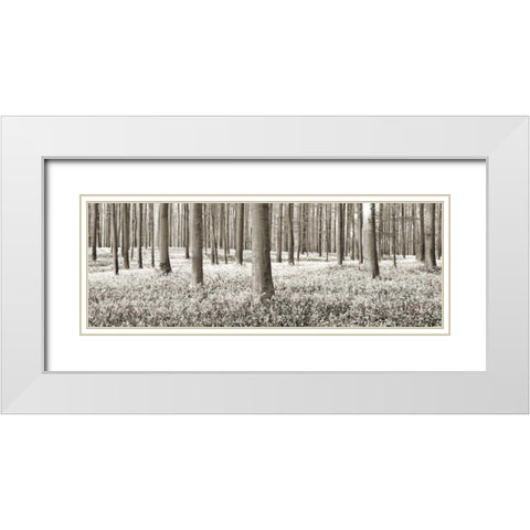 Beech forest with bluebells, Belgium White Modern Wood Framed Art Print with Double Matting by Krahmer, Frank