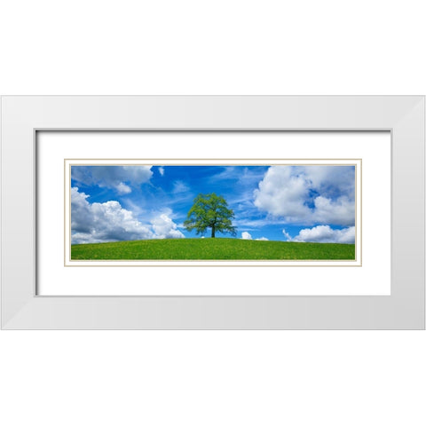 Oak and clouds, Bavaria, Germany White Modern Wood Framed Art Print with Double Matting by Frank, Krahmer