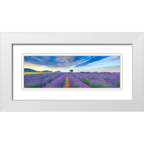 Lavender field, France White Modern Wood Framed Art Print with Double Matting by Frank, Krahmer