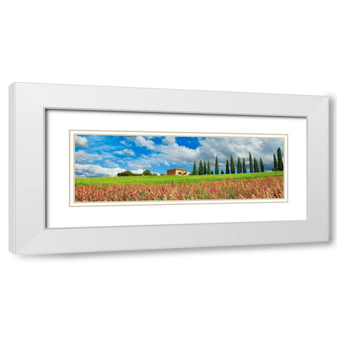 Landscape with cypress alley and sainfoins- San Quirico dOrcia- Tuscany White Modern Wood Framed Art Print with Double Matting by Krahmer, Frank