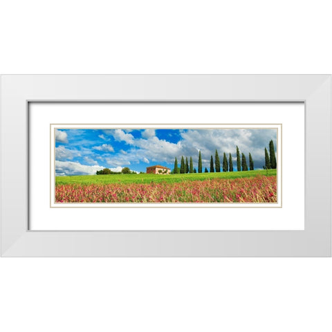 Landscape with cypress alley and sainfoins- San Quirico dOrcia- Tuscany White Modern Wood Framed Art Print with Double Matting by Krahmer, Frank