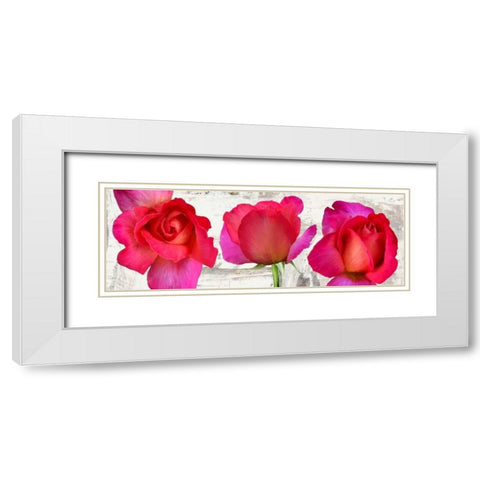 Spring Roses White Modern Wood Framed Art Print with Double Matting by Thomlinson, Jenny