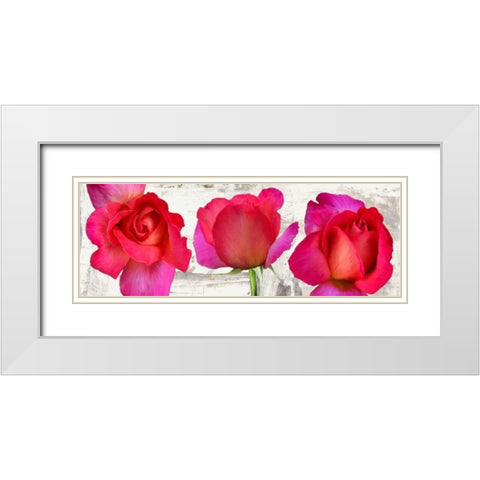 Spring Roses White Modern Wood Framed Art Print with Double Matting by Thomlinson, Jenny