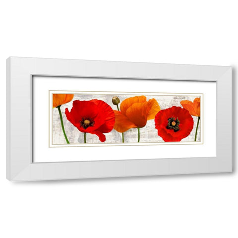 Summer Poppies White Modern Wood Framed Art Print with Double Matting by Thomlinson, Jenny