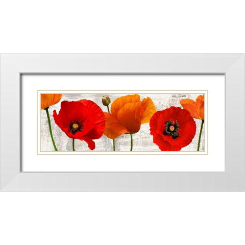 Summer Poppies White Modern Wood Framed Art Print with Double Matting by Thomlinson, Jenny