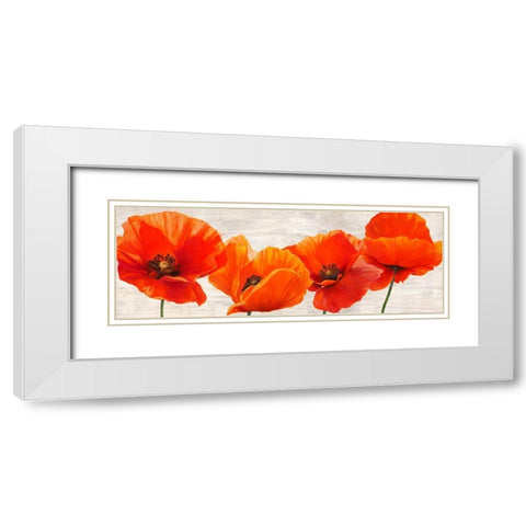 Bright Poppies White Modern Wood Framed Art Print with Double Matting by Jenny, Thomlinson