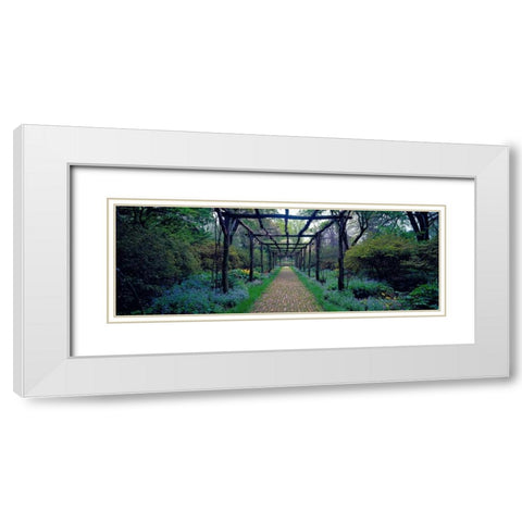 Garden path Old Westbury Gardens Long Island White Modern Wood Framed Art Print with Double Matting by Berenholtz, Richard