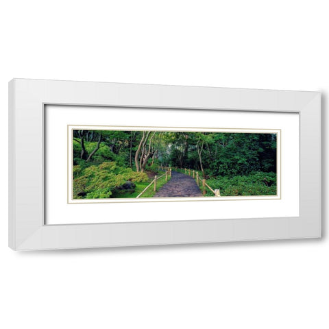 Tea Garden Walkway San Francisco Botanical Gardens White Modern Wood Framed Art Print with Double Matting by Berenholtz, Richard