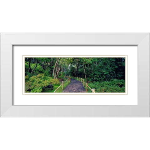 Tea Garden Walkway San Francisco Botanical Gardens White Modern Wood Framed Art Print with Double Matting by Berenholtz, Richard