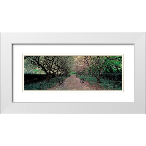 Through Conservatory Garden Central Park NYC White Modern Wood Framed Art Print with Double Matting by Berenholtz, Richard