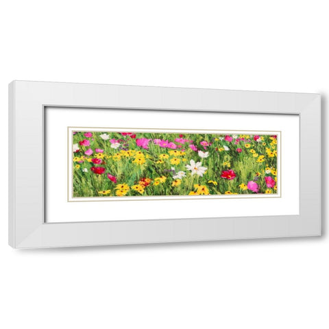 Field of Flowers White Modern Wood Framed Art Print with Double Matting by Mei, Silvia