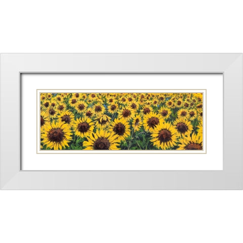 Girasoli White Modern Wood Framed Art Print with Double Matting by Marzari, Tebo