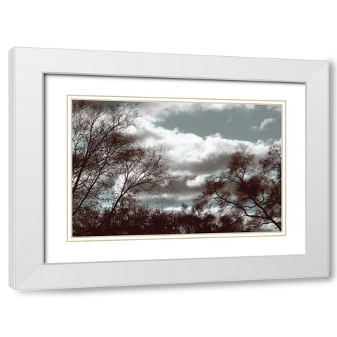 Looking Upward White Modern Wood Framed Art Print with Double Matting by Romita, Denise