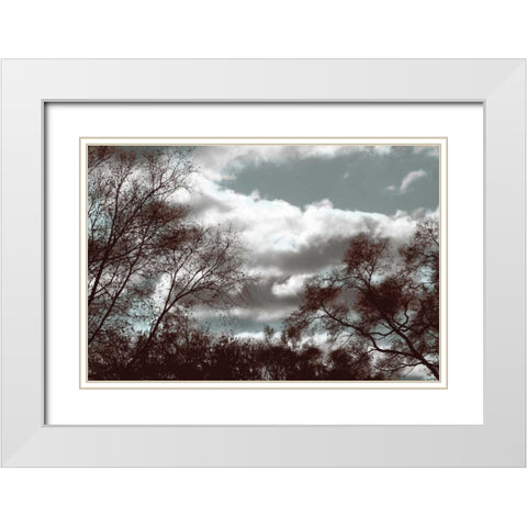 Looking Upward White Modern Wood Framed Art Print with Double Matting by Romita, Denise