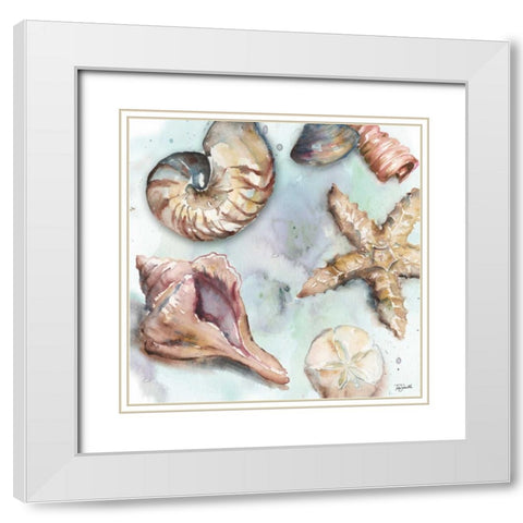 Watercolor Shell Toss II White Modern Wood Framed Art Print with Double Matting by Tre Sorelle Studios