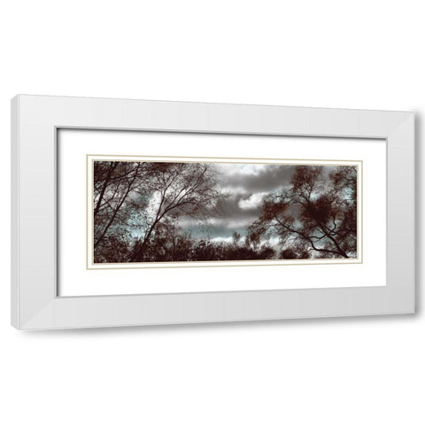 Looking Upward Panel White Modern Wood Framed Art Print with Double Matting by Romita, Denise