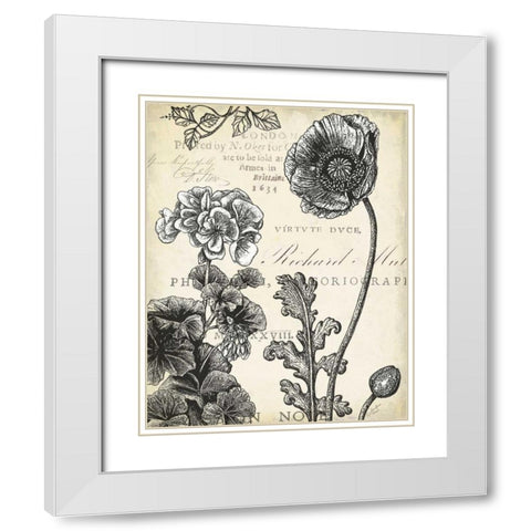 Pen and Ink Floral Study I  White Modern Wood Framed Art Print with Double Matting by Cusson, Marie Elaine
