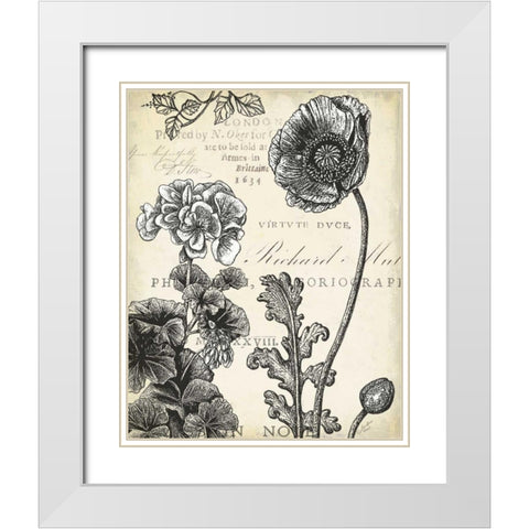 Pen and Ink Floral Study I  White Modern Wood Framed Art Print with Double Matting by Cusson, Marie Elaine