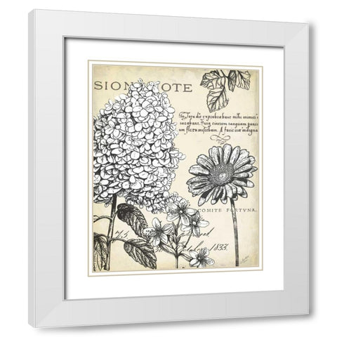 Pen and Ink Floral Study II  White Modern Wood Framed Art Print with Double Matting by Cusson, Marie Elaine