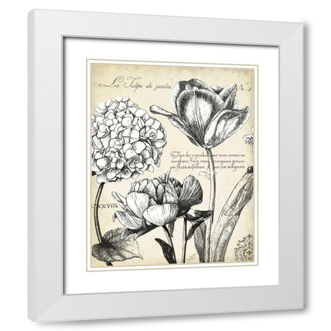 Pen and Ink Floral Study IV  White Modern Wood Framed Art Print with Double Matting by Cusson, Marie Elaine