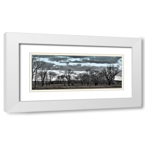 Big Sky    White Modern Wood Framed Art Print with Double Matting by Romita, Denise