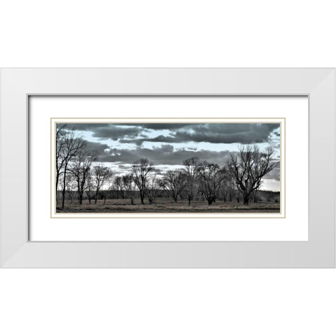 Big Sky    White Modern Wood Framed Art Print with Double Matting by Romita, Denise