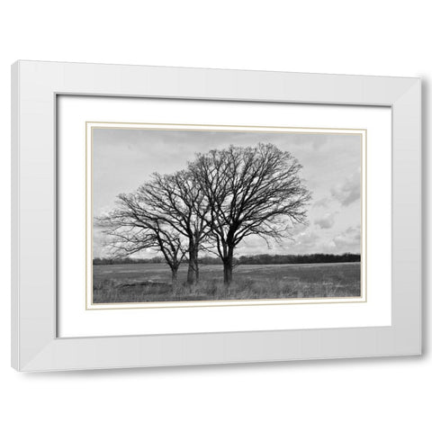 Standing Together White Modern Wood Framed Art Print with Double Matting by Romita, Denise