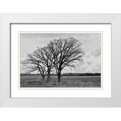 Standing Together White Modern Wood Framed Art Print with Double Matting by Romita, Denise