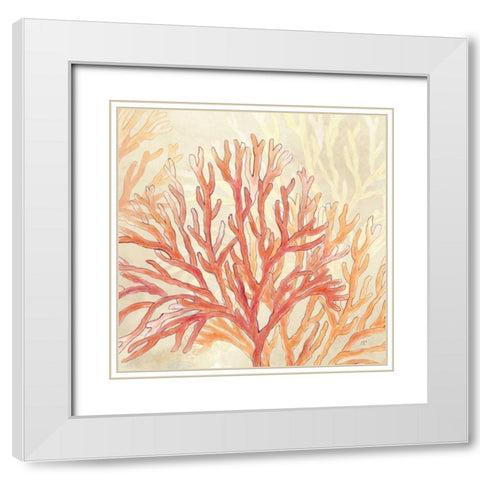 Coral Reef Cream I White Modern Wood Framed Art Print with Double Matting by Coulter, Cynthia