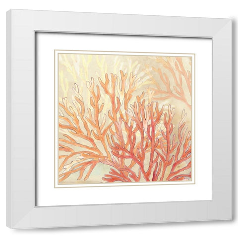 Coral Reef Cream II   White Modern Wood Framed Art Print with Double Matting by Coulter, Cynthia