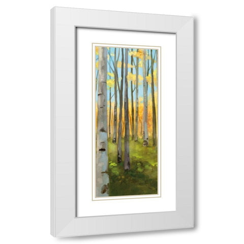 Birch Woods Panel I  White Modern Wood Framed Art Print with Double Matting by Milan, Vittorio
