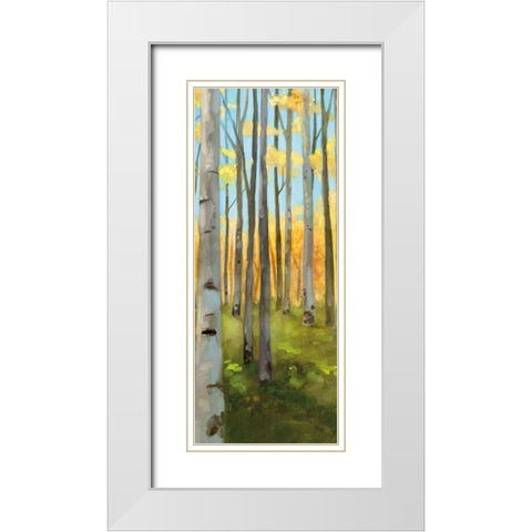 Birch Woods Panel I  White Modern Wood Framed Art Print with Double Matting by Milan, Vittorio