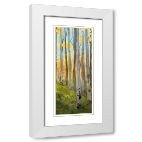 Birch Woods Panel II White Modern Wood Framed Art Print with Double Matting by Milan, Vittorio