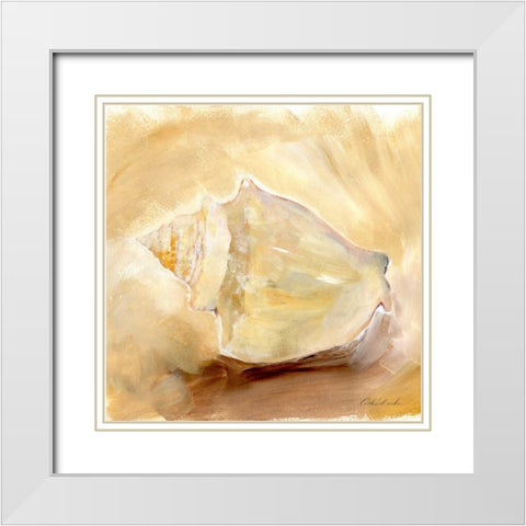 Painted Seashells I  White Modern Wood Framed Art Print with Double Matting by Dundon, Caitlin