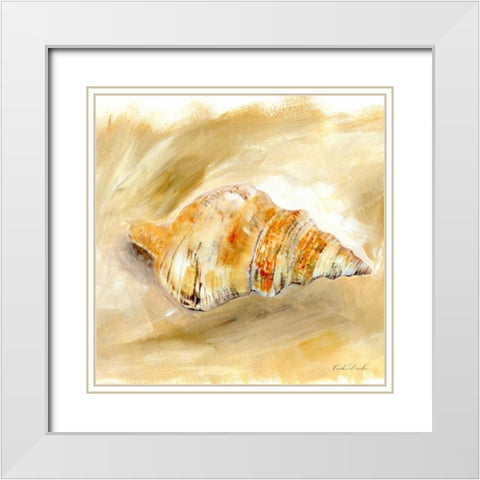 Painted Seashells IV  White Modern Wood Framed Art Print with Double Matting by Dundon, Caitlin