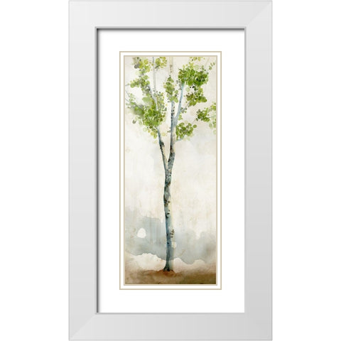 Watercolor Birch Trees I  White Modern Wood Framed Art Print with Double Matting by Milan, Vittorio